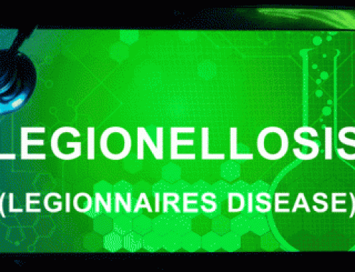 Legionnaire’s Disease – What You Should Know