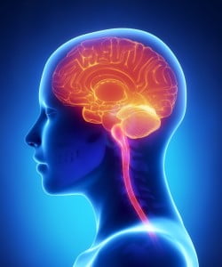 Chiari Malformation, cerebellum